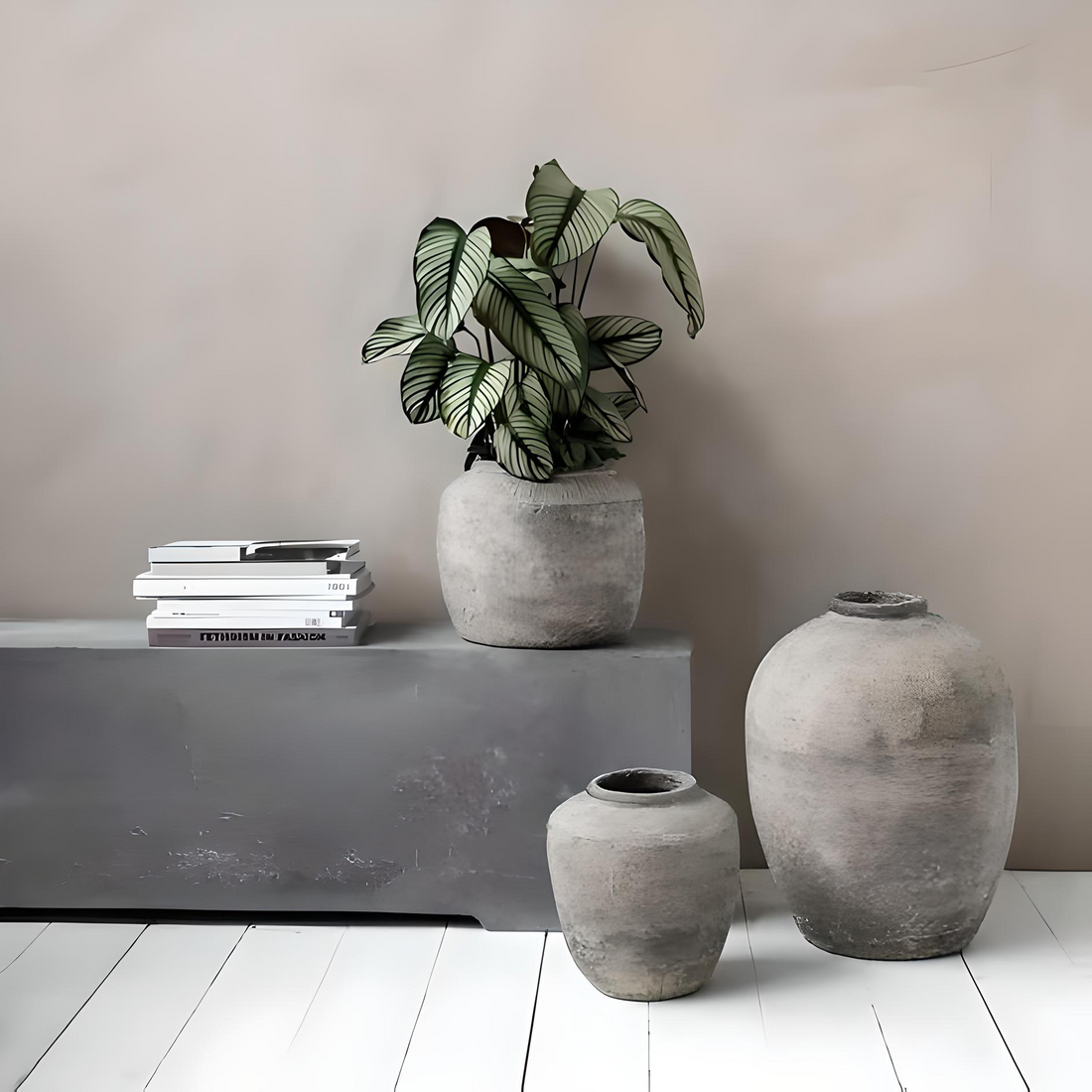Urban Jungle Vibes: Styling Plants in Brutalist, Minimalist Spaces