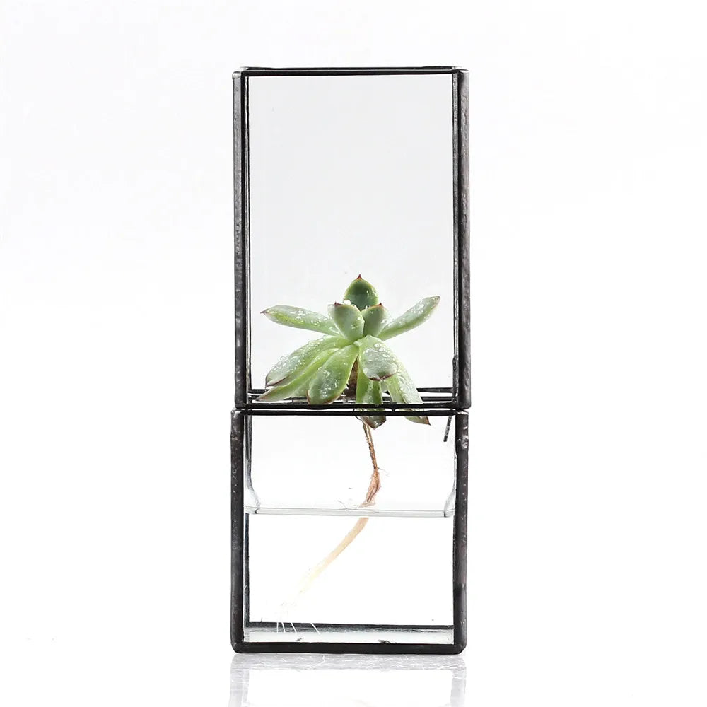 NCYP Glass Hydroponic Planter