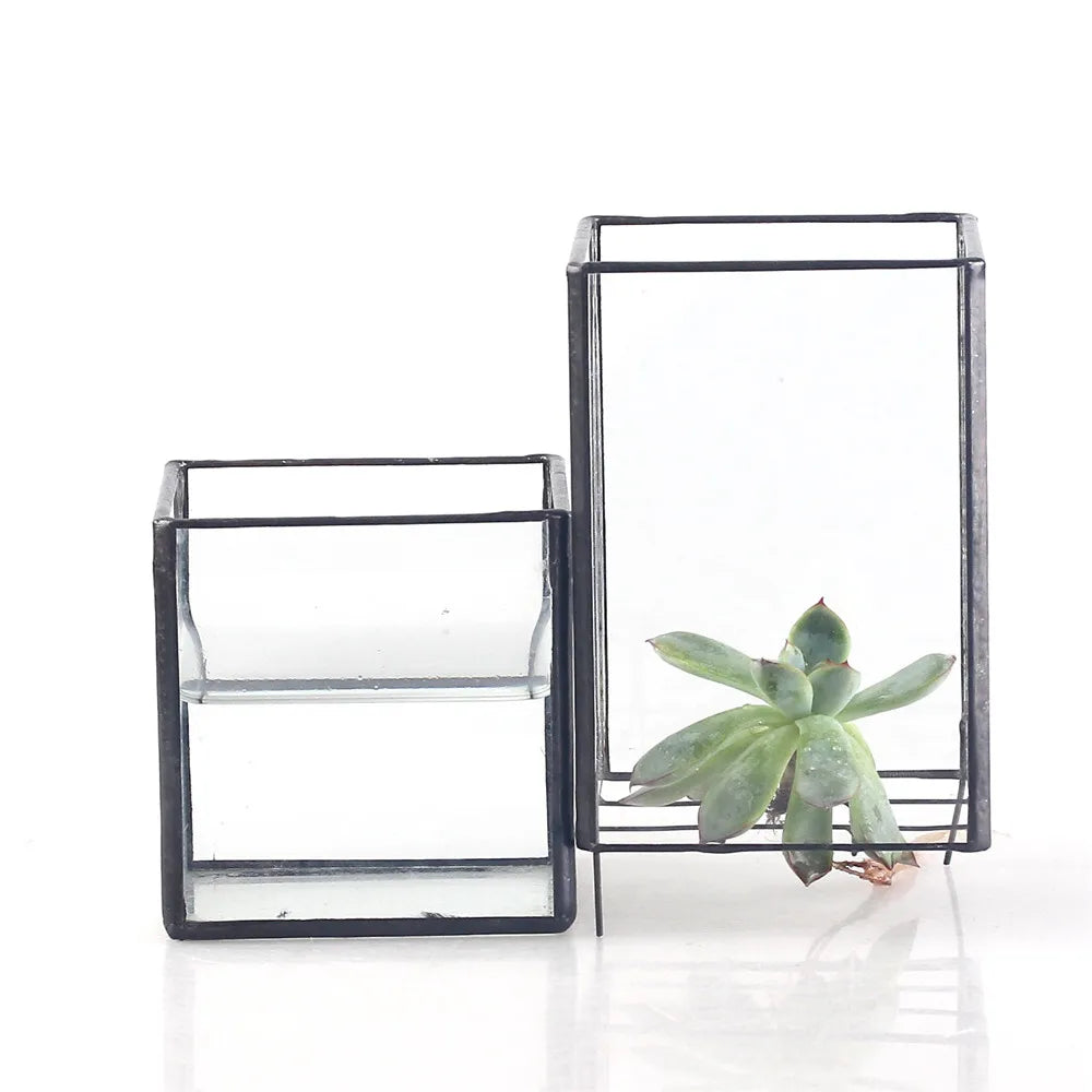 NCYP Glass Hydroponic Planter