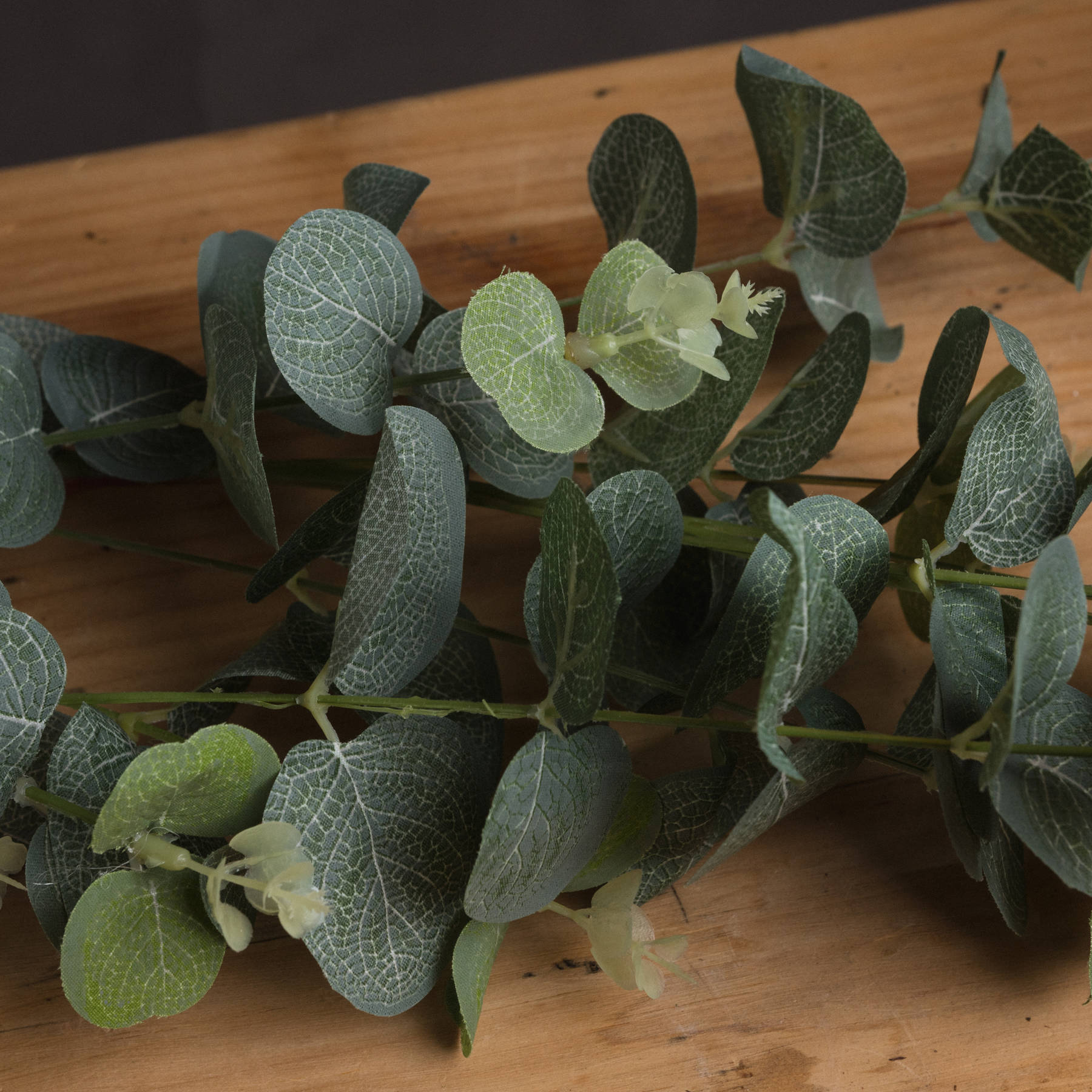 Close-up of faux eucalyptus stem showing leaf texture and botanical variation