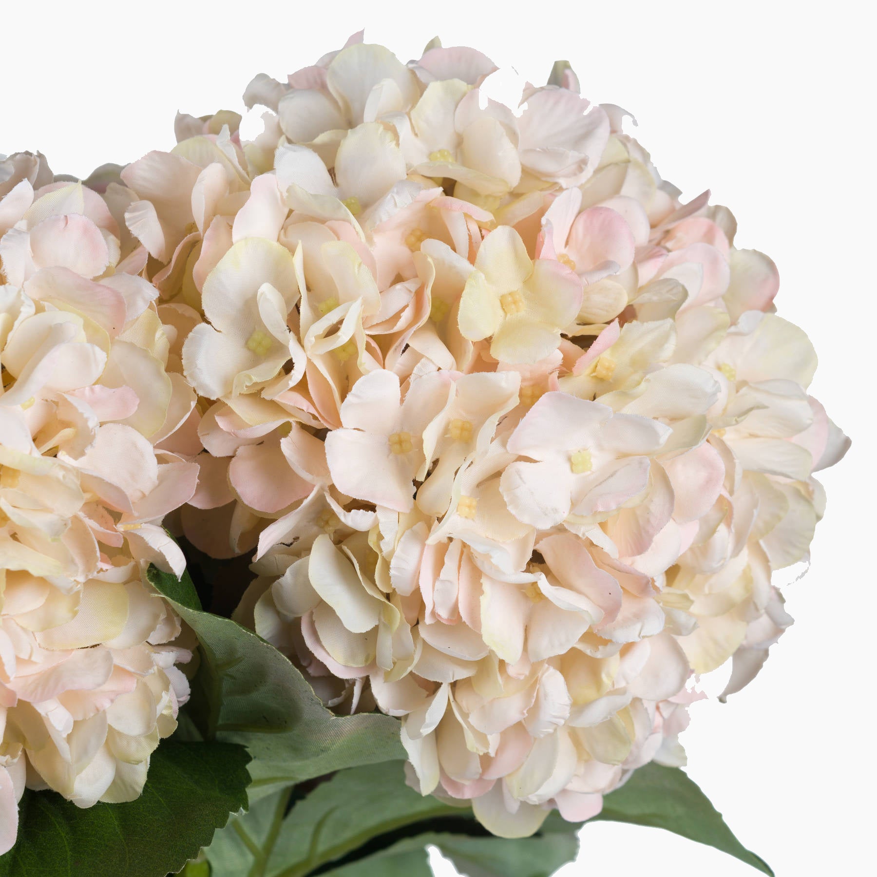 Close-up of faux hydrangea flower head with soft white petals and realistic veining