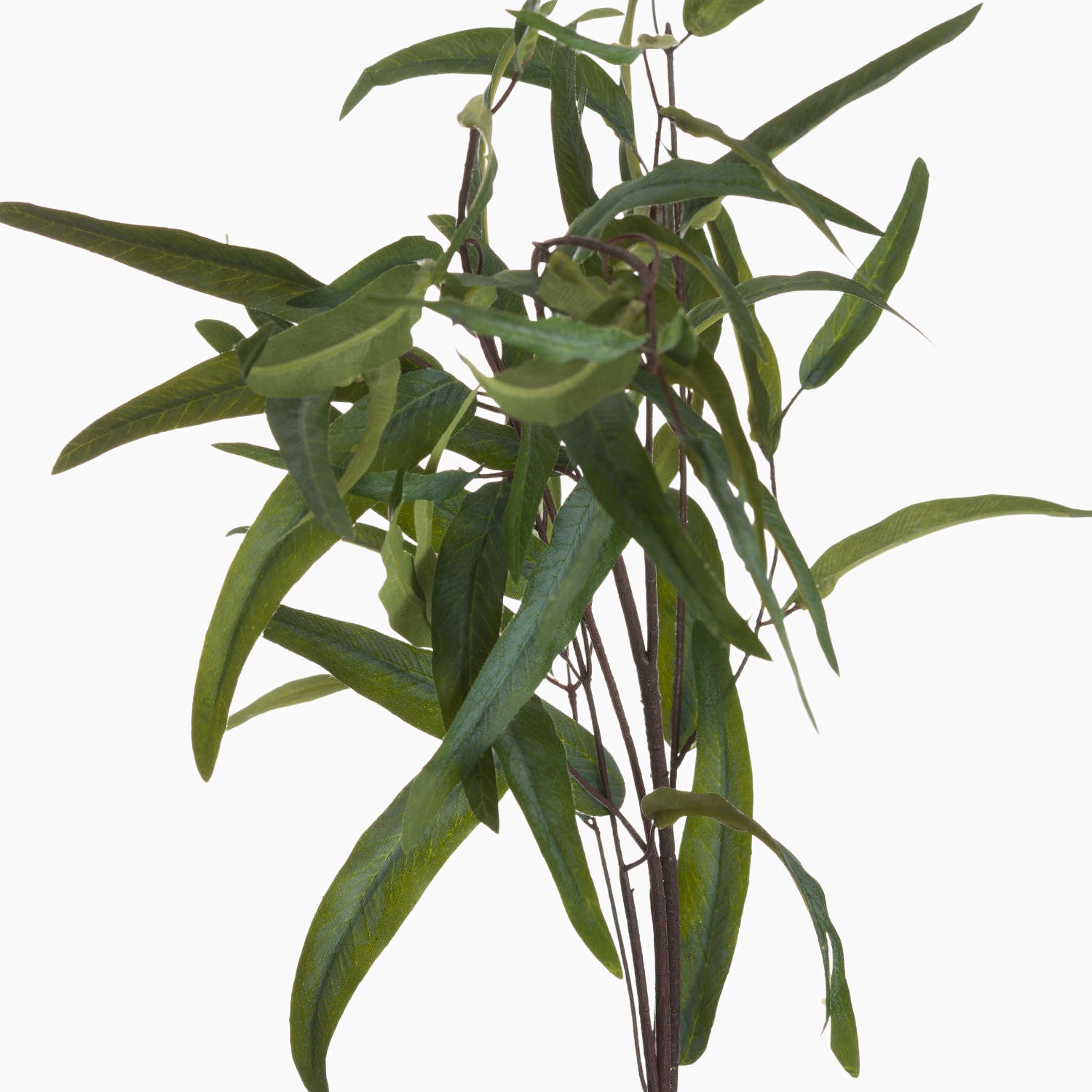 Detailed close‑up of Eucalyptus Nicholii Faux Foliage Spray leaves, highlighting intricate vein patterns and muted silver‑green finish.
