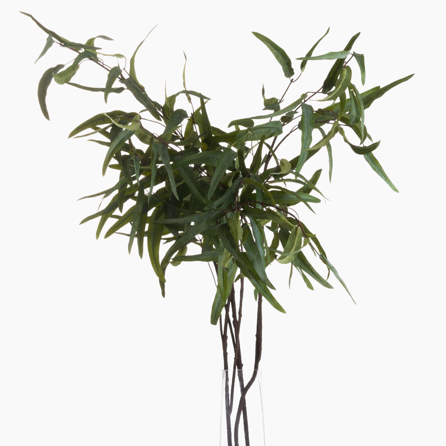 Four stems Eucalyptus Nicholii Faux Foliage Spray stem styled in a tall clear glass vase, emphasizing architectural impact and minimalist elegance.