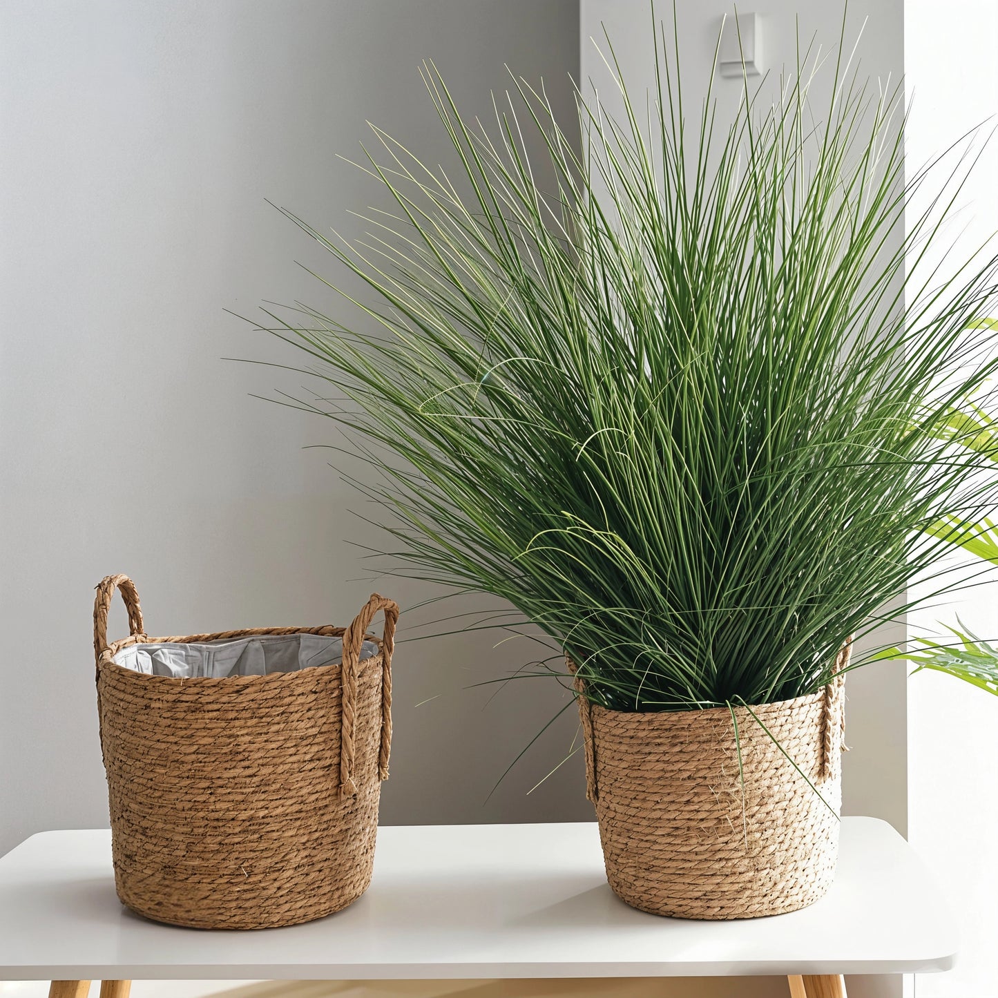 small rattan planter used to house grassy plants