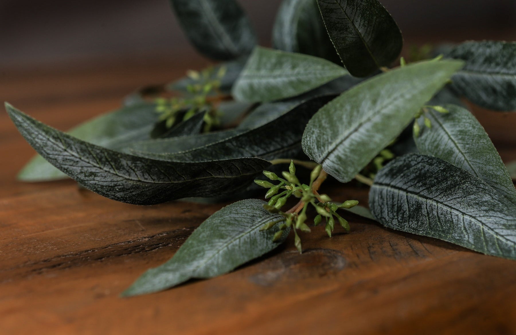 Close-up of seeded eucalyptus foliage and bud clusters, showcasing realistic vein detail and textured matte finish against a wooden backdrop.