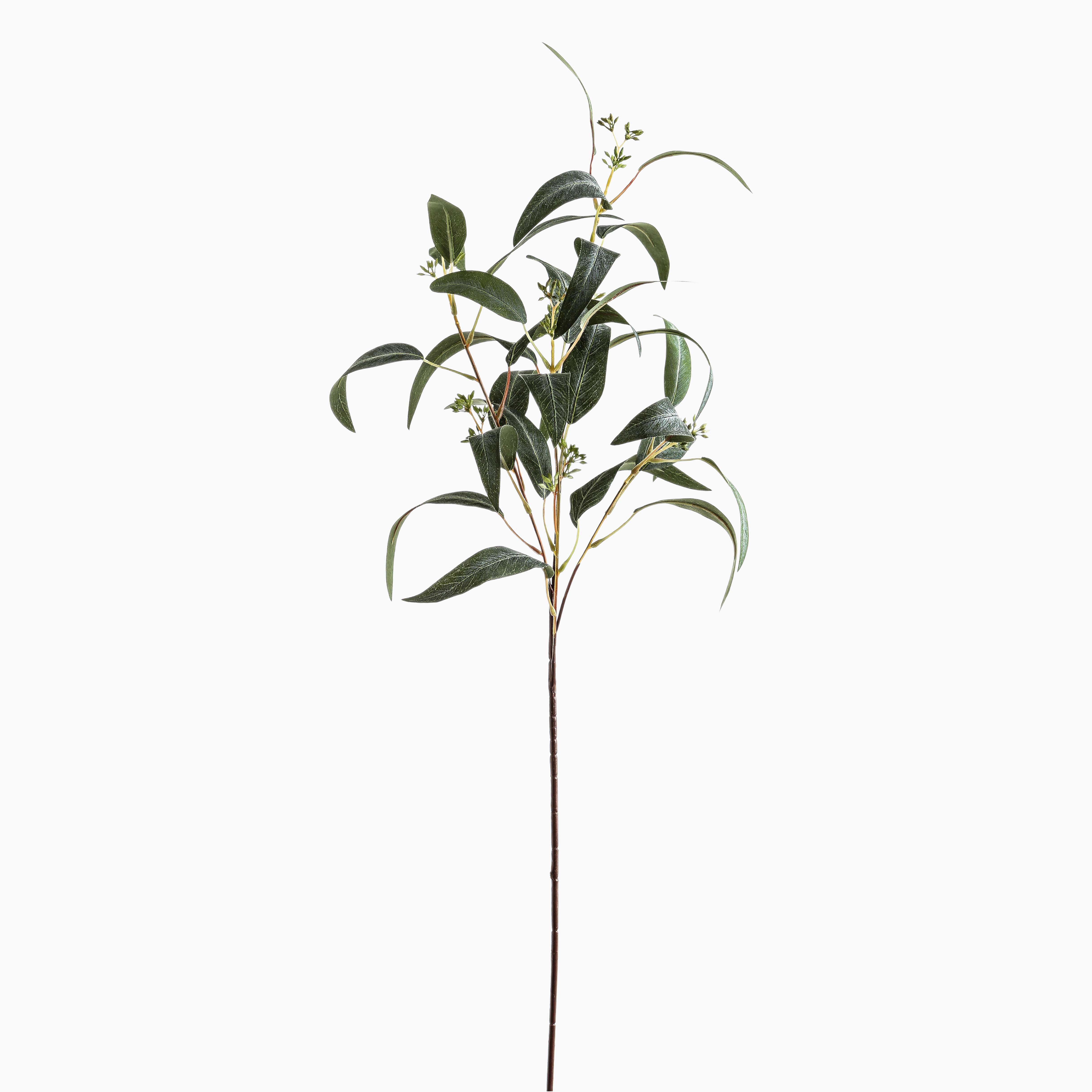 Single Seeded Eucalyptus Faux Spray stem on a white background, showing full 86 cm height and delicate cream-tipped seed pods.