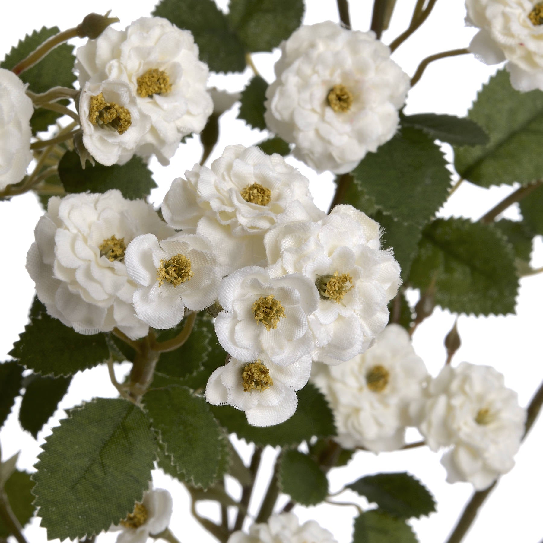 Close‑up of White Wild Meadow Rose Faux Spray showing clusters of pristine white silk blooms and detailed green foliage.