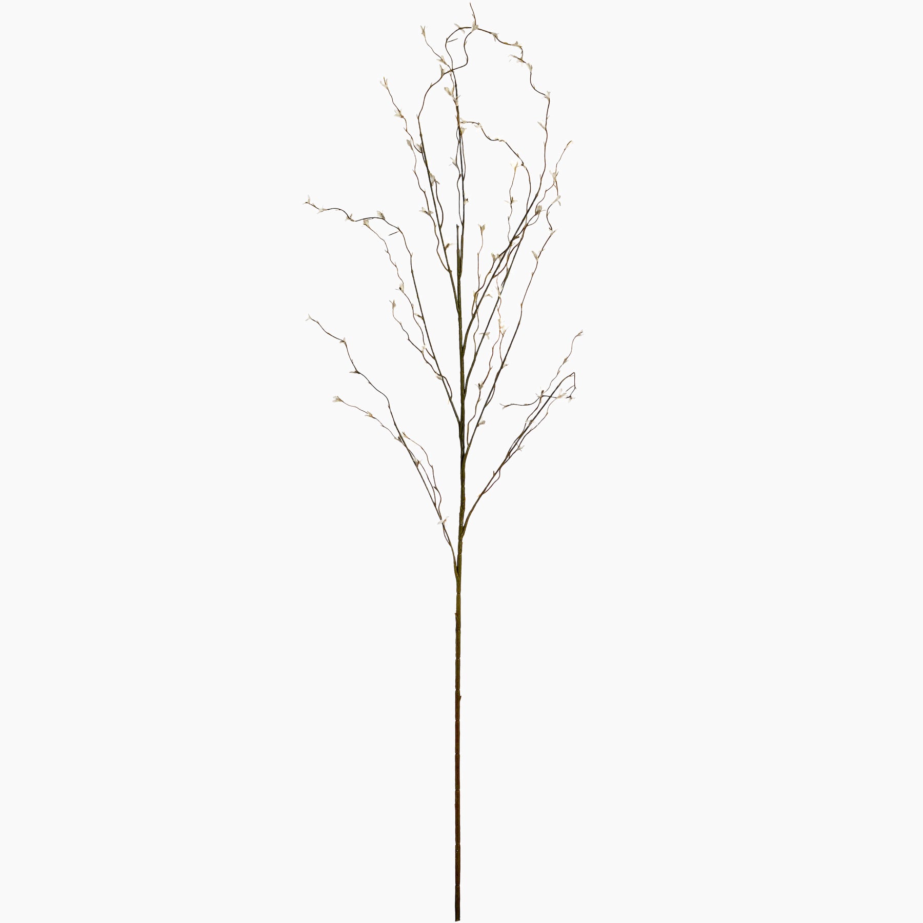 White background product cutout of single faux white pussy willow spray with tall stem and soft white buds