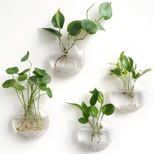 Wall Hanging Propogation Flat Vase