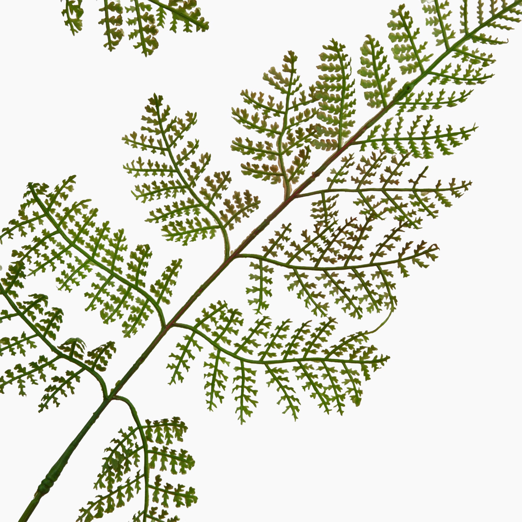 Close-up of the Bracken Green Large Faux Fern showing realistic fern green texture and wire-supported stems.