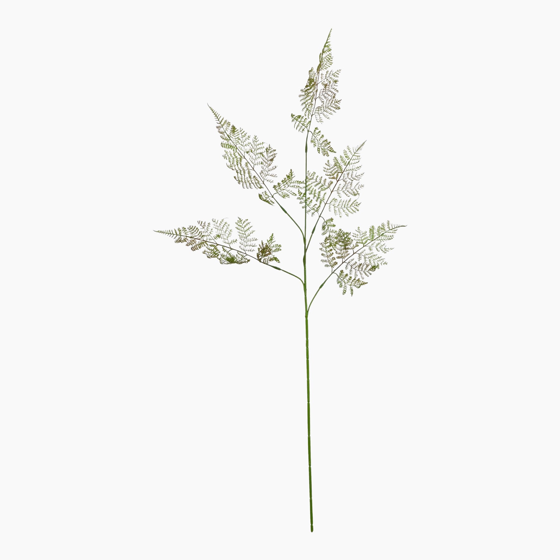 Front view of the Bracken Green Large Faux Fern with tall matte foliage and detailed fronds.