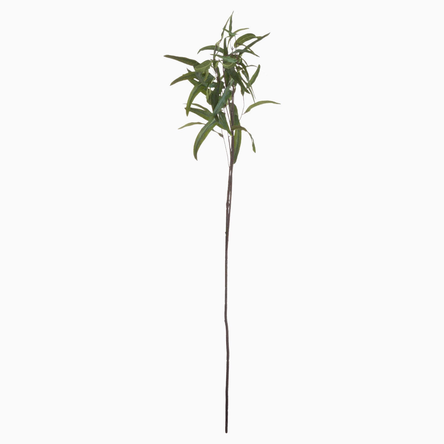 Front view of Eucalyptus Nicholii Faux Foliage Spray on a white background, showcasing the full 128 cm stem and dense dark green willow-shaped leaves.