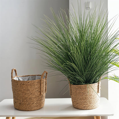 small rattan planter used to house grassy plants 