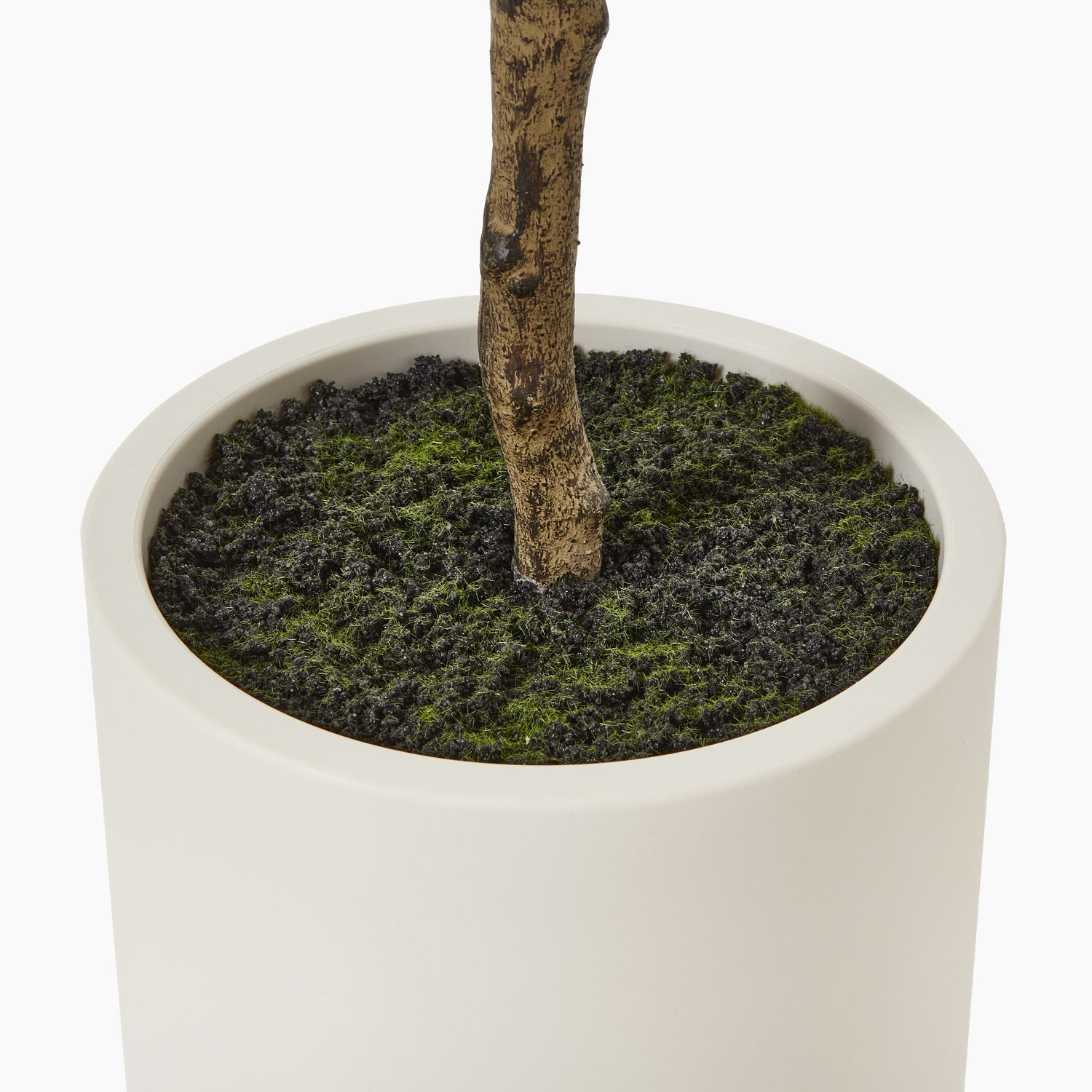 Windsor Compact Faux Olive Tree